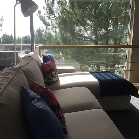 Apartamento Casa Dos Loureiros